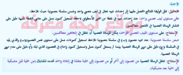 دور المشبك في تجديد اتجاه انتقال الرسالة العصبية تحليل الوثيقة الرابعة 4 علوم طبيعية