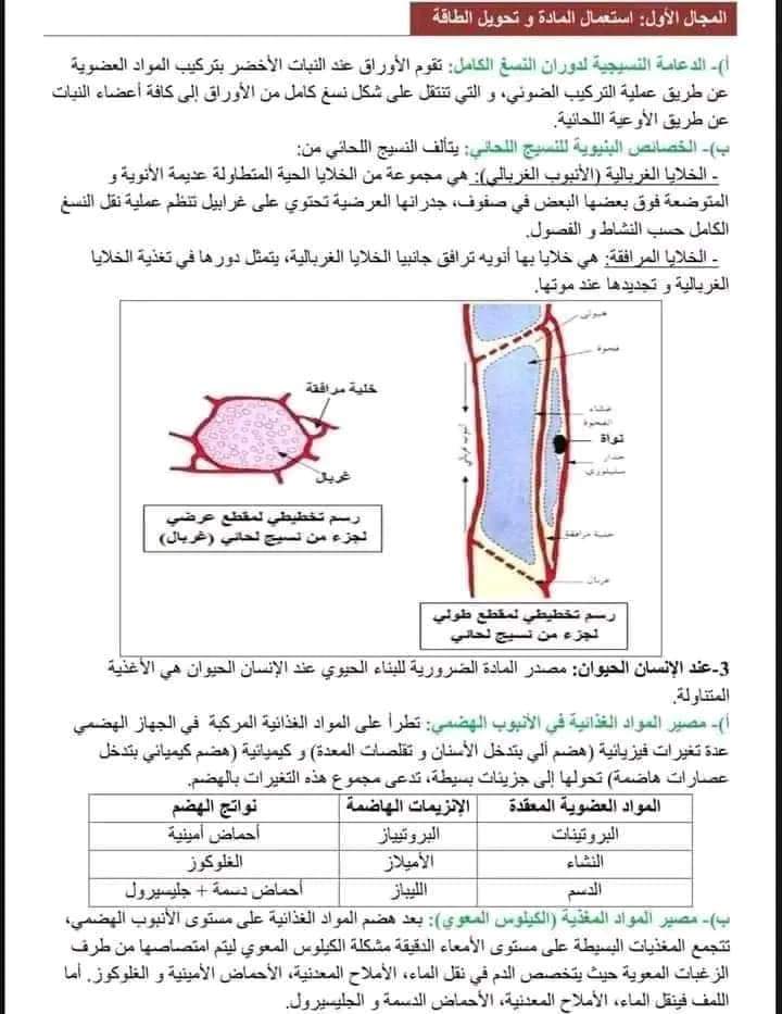 ملخص دروس الوحدة الأولى استعمال المادة والطاقة وتحديد مصدرها علوم طبيعية أولى ثانوي الفصل الأول